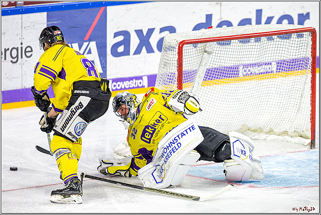DEL; Koelner Haie - Krefeld Pinuguine; Koeln, 24.11.2019